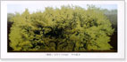 竹内義浩「漆で描く野山の原風景展」